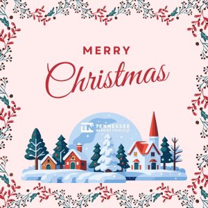 Merry Christmas 2024 from TNW